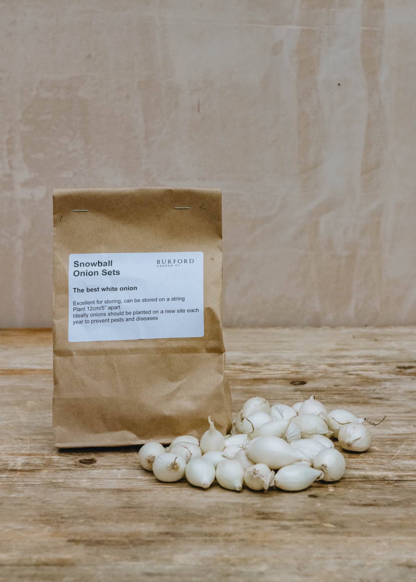 Onion 'Snowball', pack of 50 sets