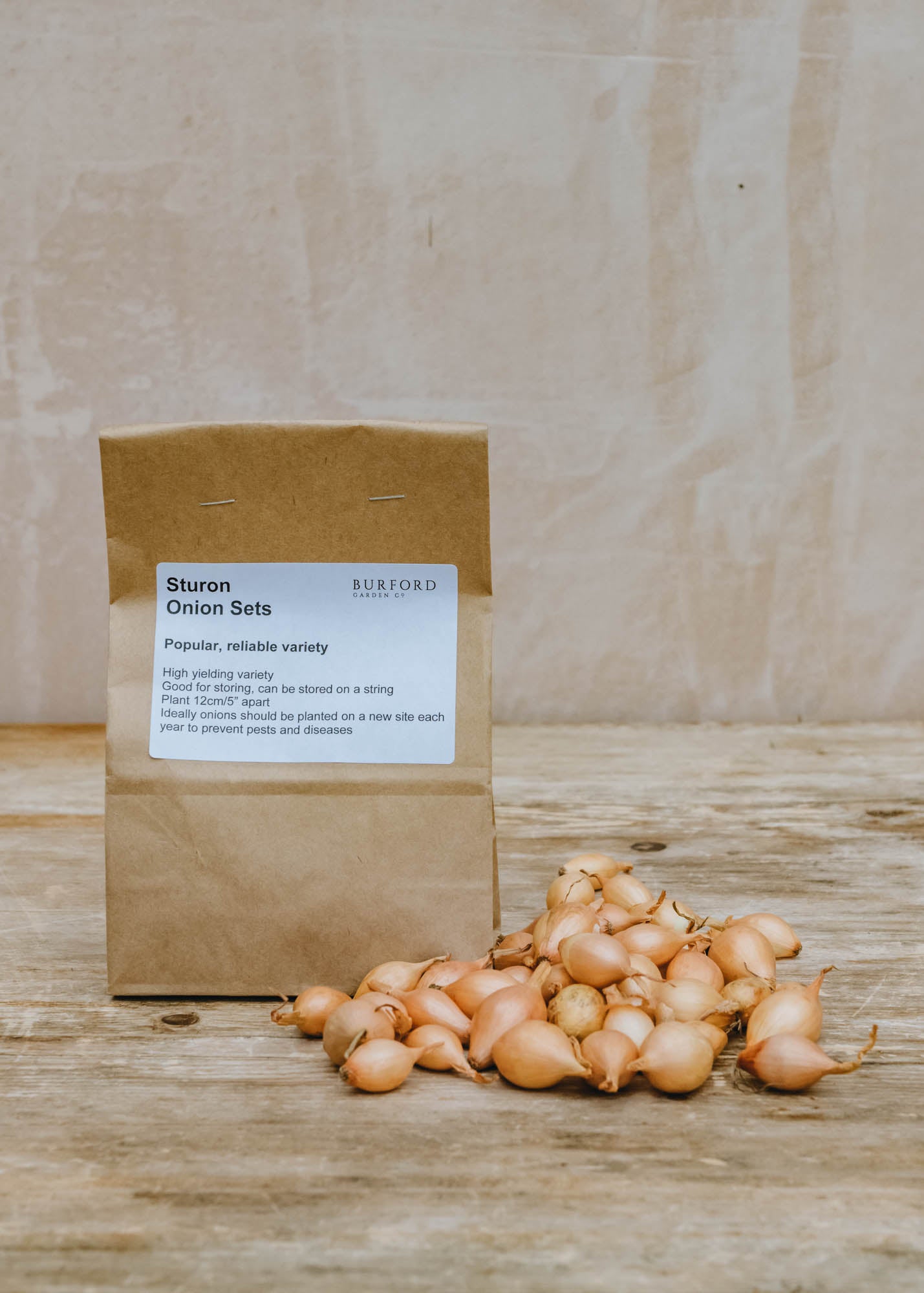 Onion 'Sturon', pack of 50 sets