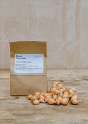 Onion 'Sturon', pack of 50 sets