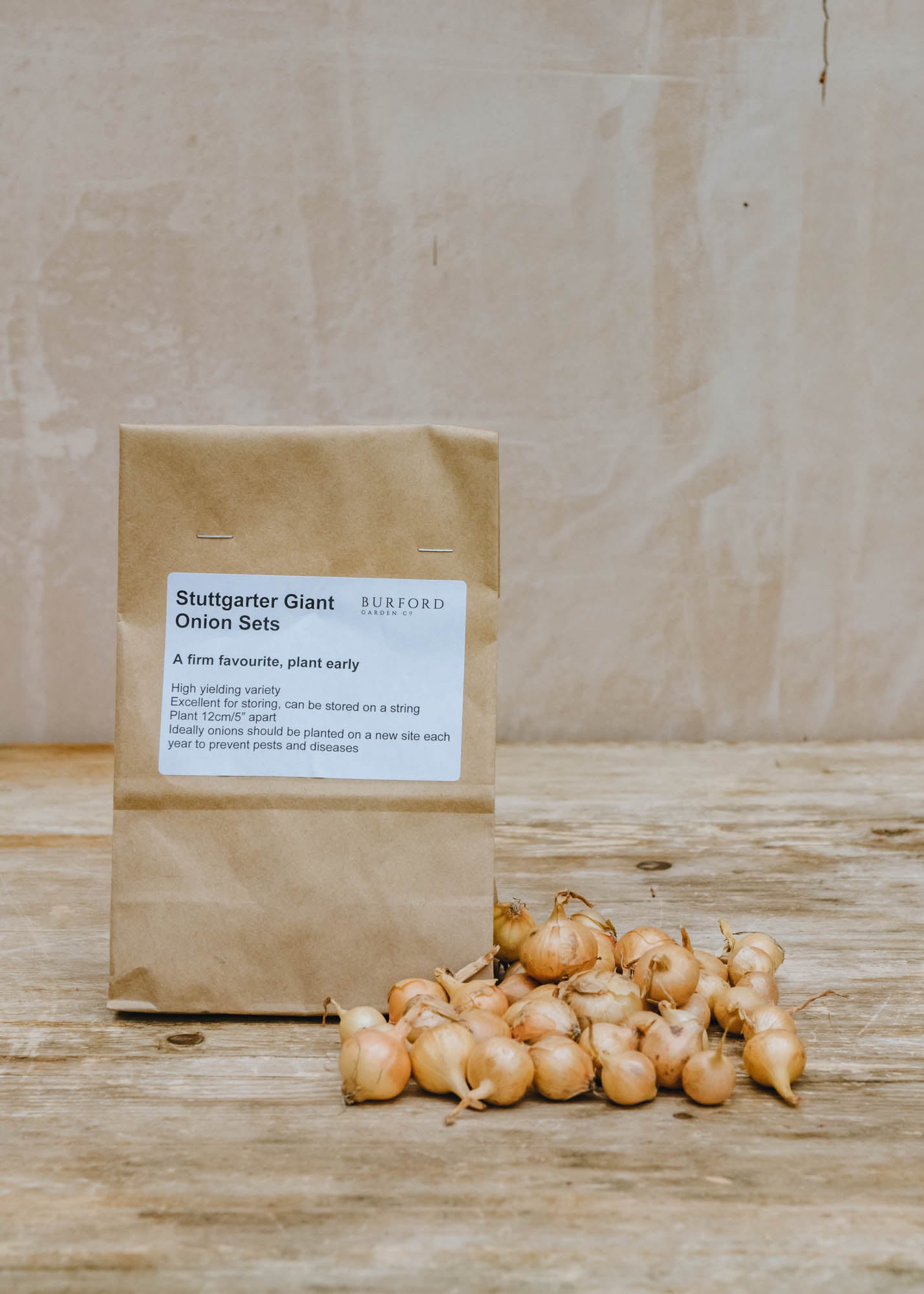 Onion 'Stuttgarter Giant', pack of 50 sets