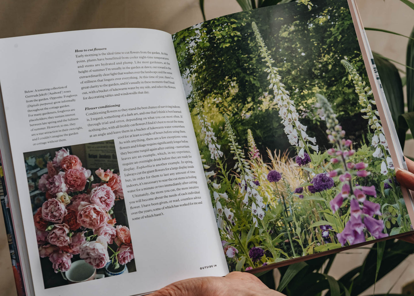 Garden and Plants Books Outside In by Sean Anthony Pritchard