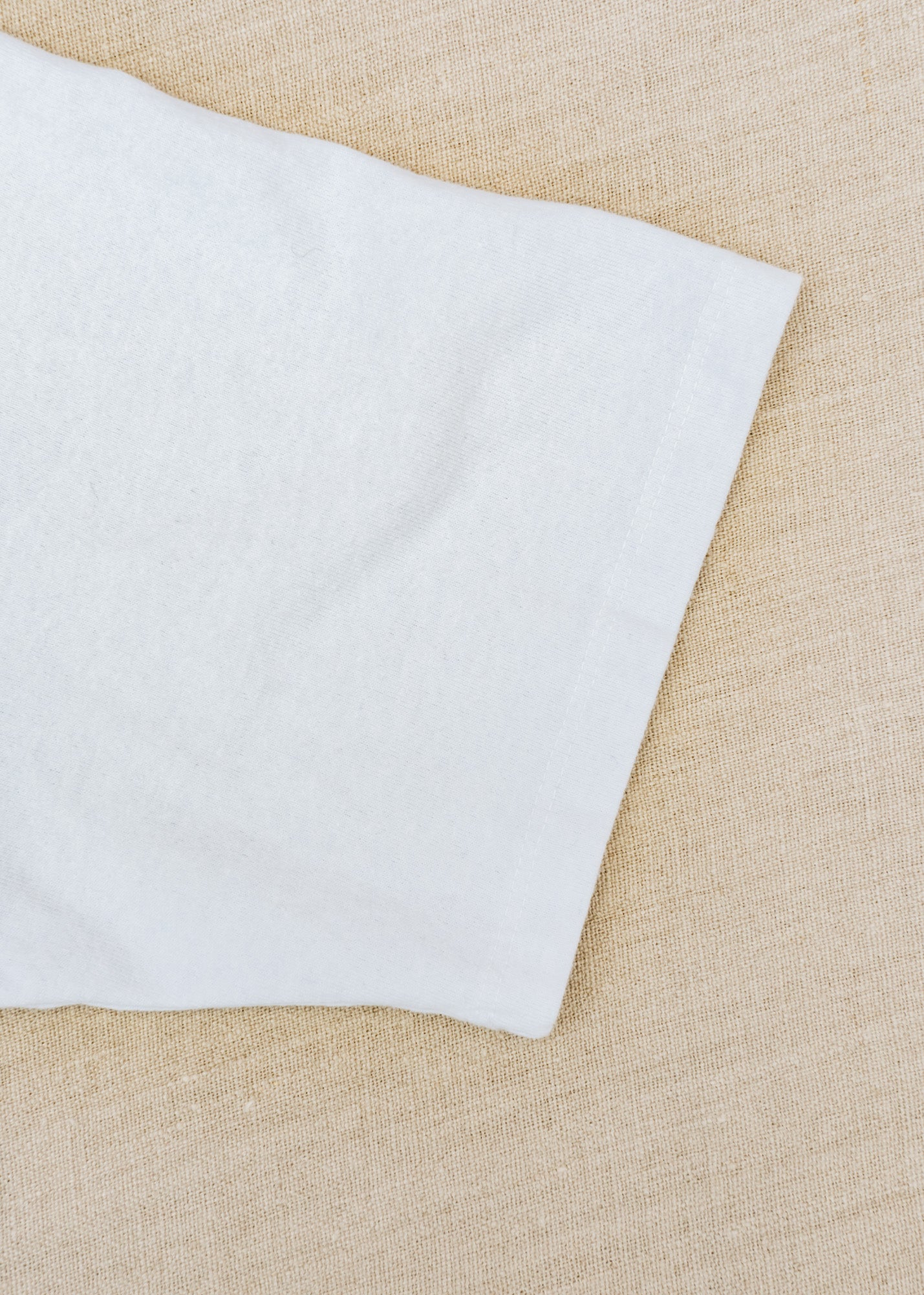 Patagonia P-6 Logo T-Shirt in White