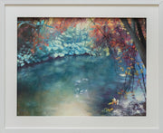 Summer at the Wychwood Pond