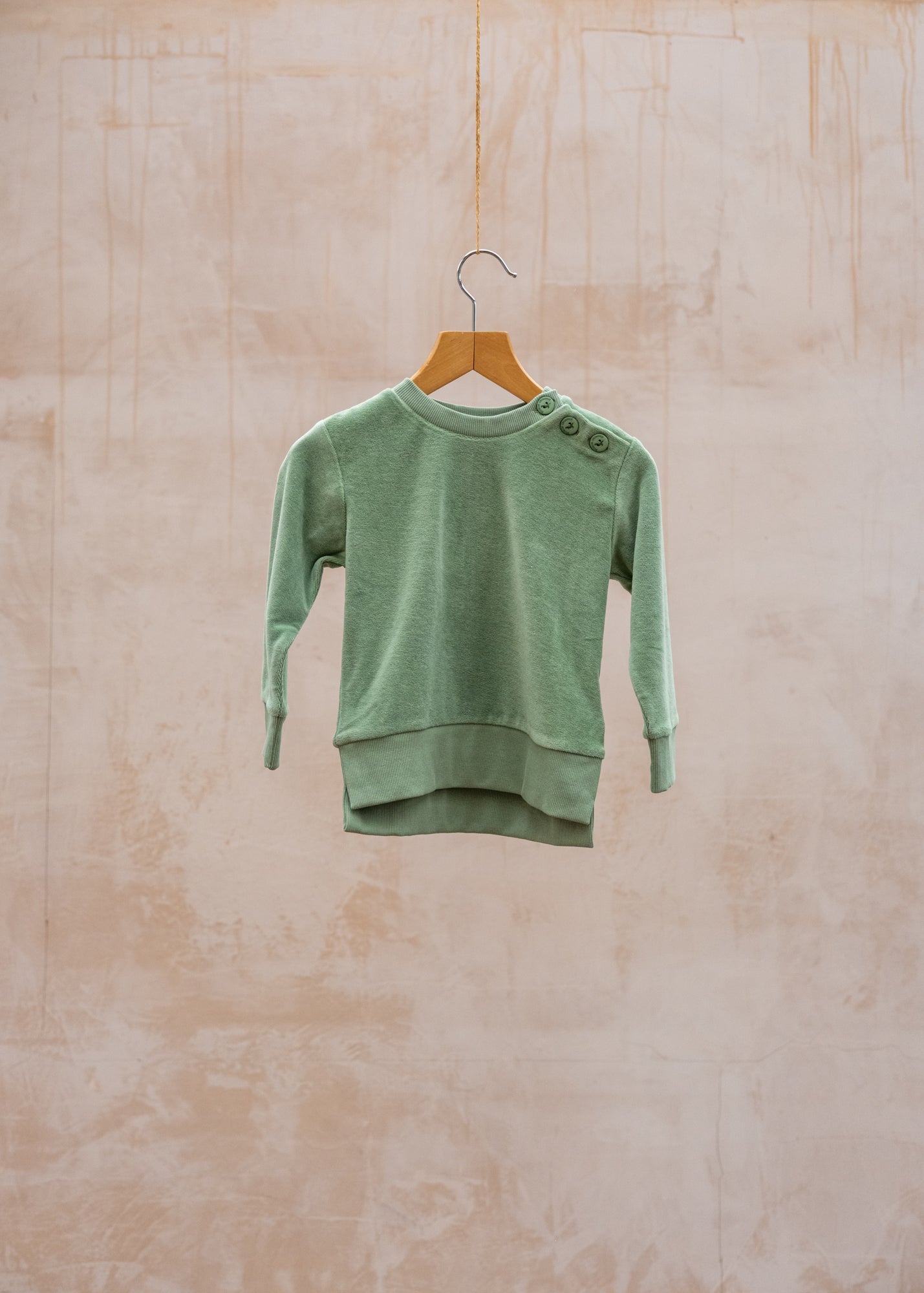 Velour Sweatshirt in Green