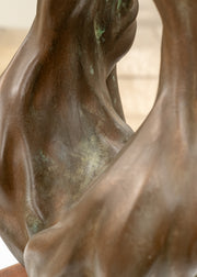 Burford Gallery Silky Hair