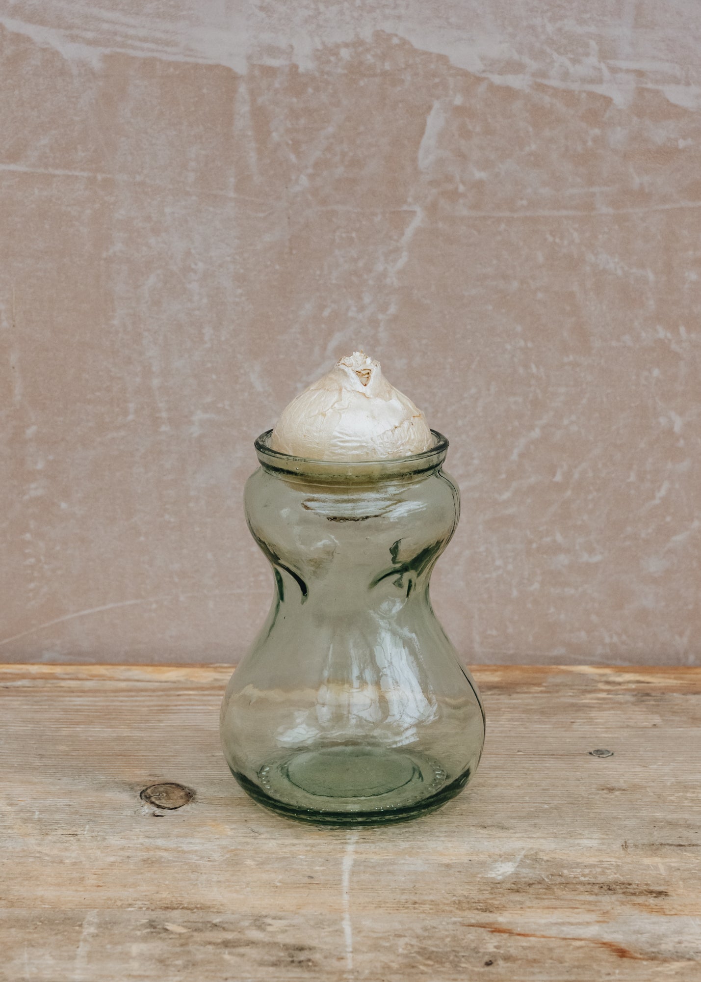 Taylors Bulbs Plain Glass Indoor Hyacinth Carafe