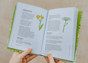Books Planting For Honeybees