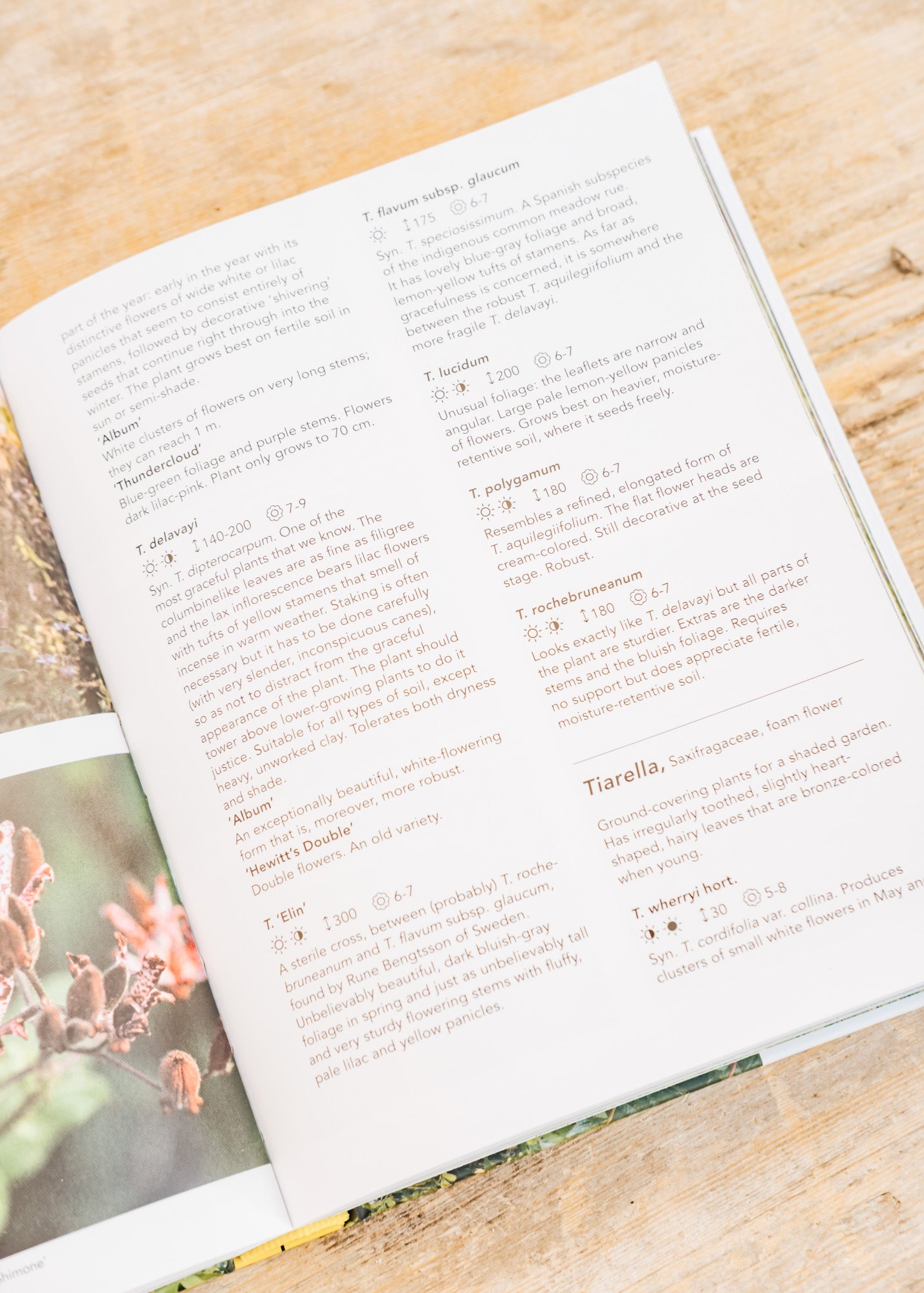 Books Planting the Natural Garden