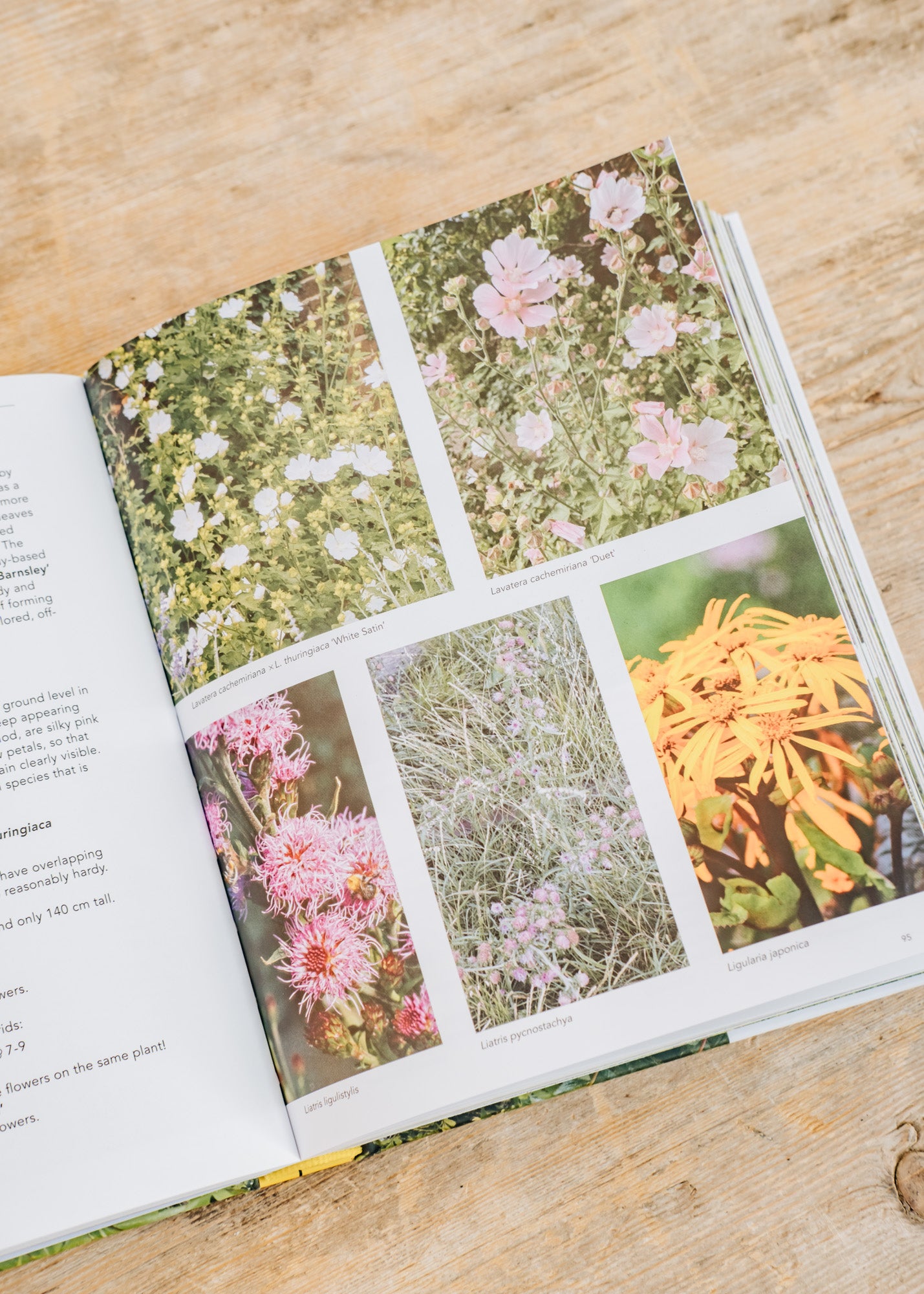 Books Planting the Natural Garden