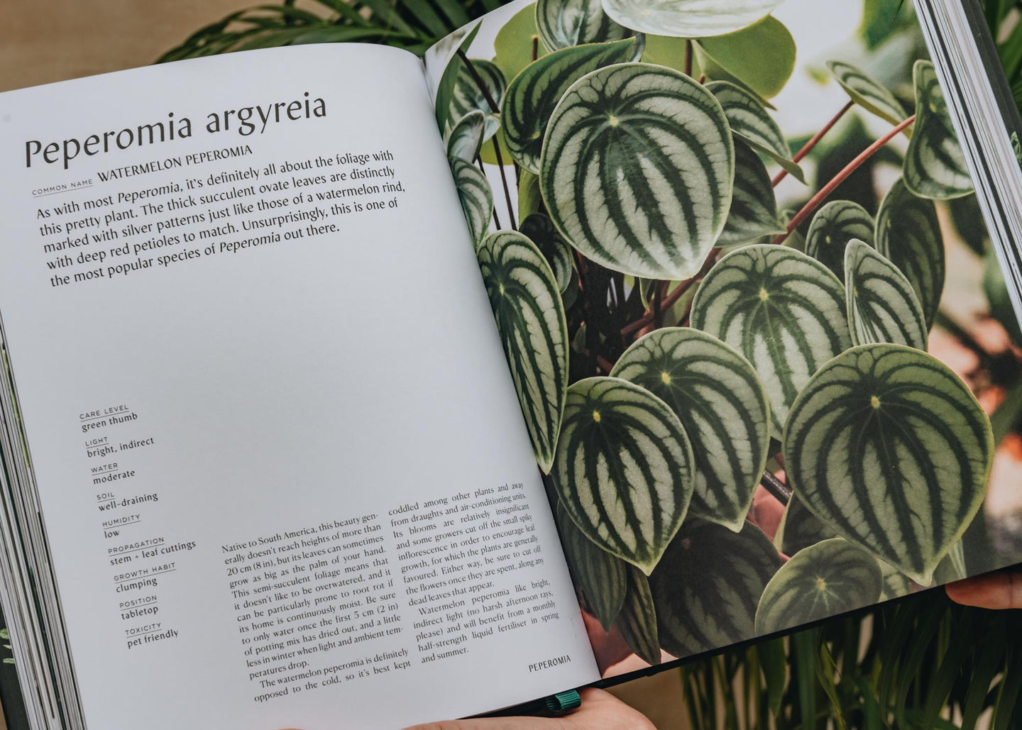 Garden and Plants Books Plantopedia