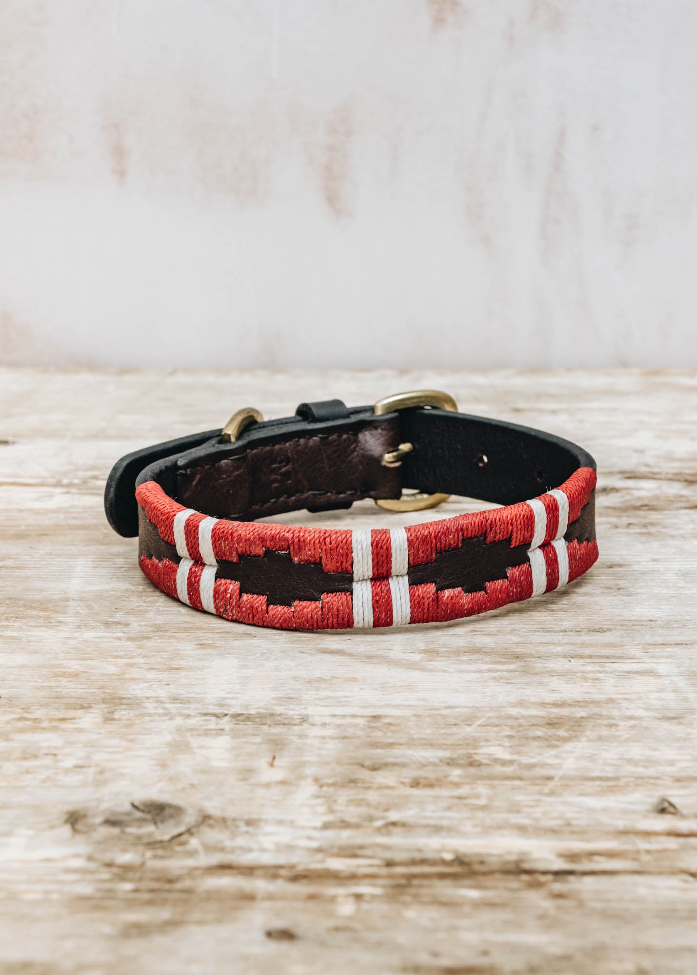 Georgie Paws Polo Dog Collar in Kaliman