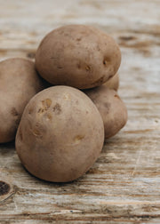 Taylors Bulbs Potato 'Caledonian Pearl’, 2kg