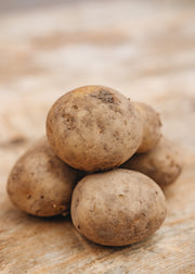 Taylors Bulbs Seed Potato 'Nadine', 2kg