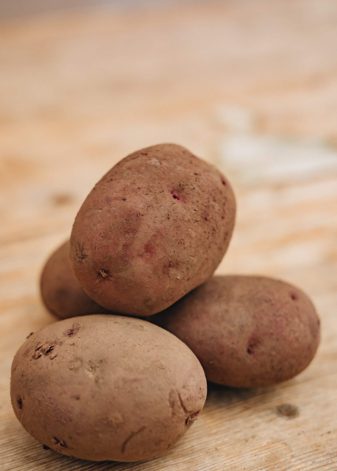 Taylors Bulbs Seed Potato 'Red Duke of York', 2kg