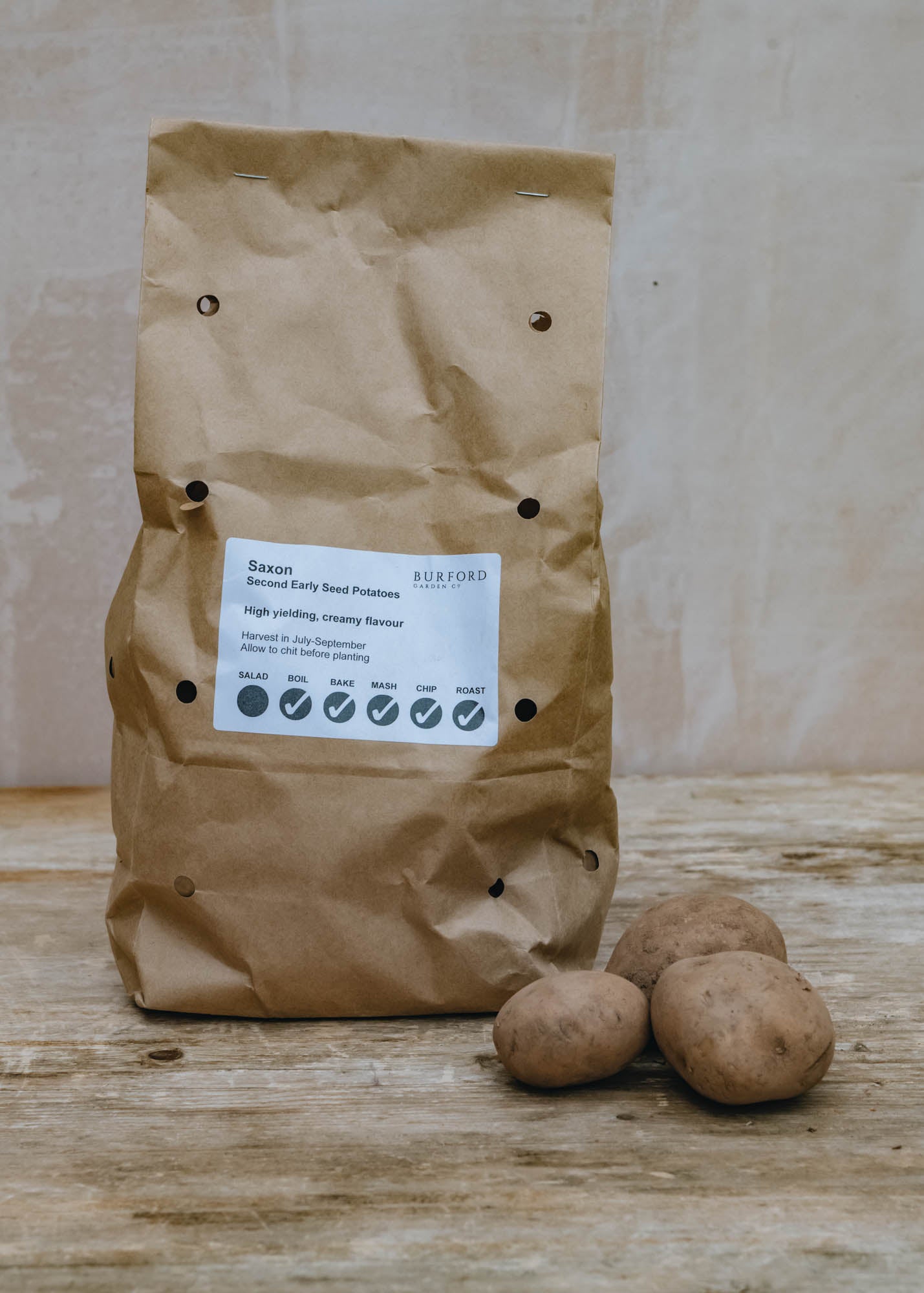 Potato 'Saxon’, 2kg