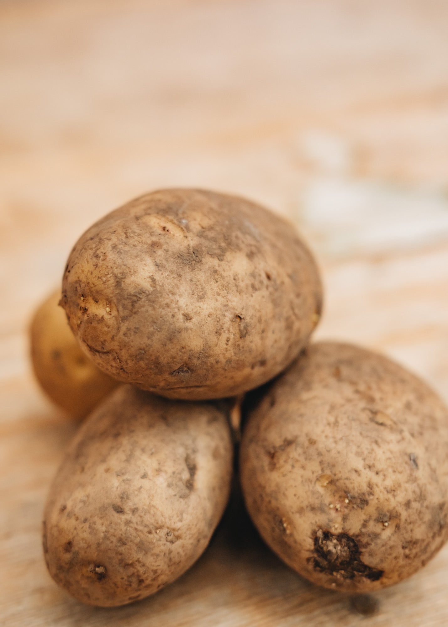 Taylors Bulbs Seed Potato 'Skywalker', 2kg