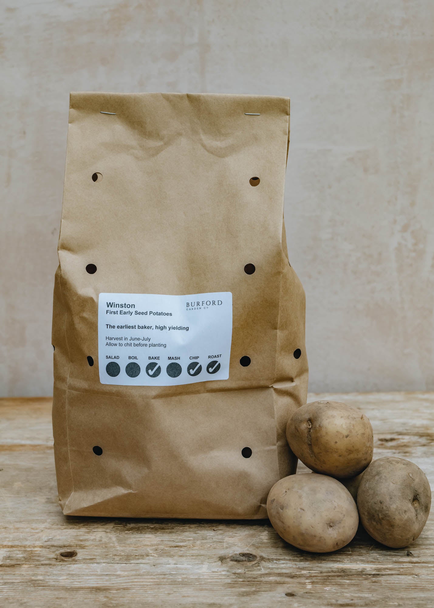 Seed Potato 'Winston’, 2kg