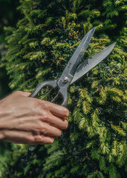 Niwaki Pro Topiary Clippers
