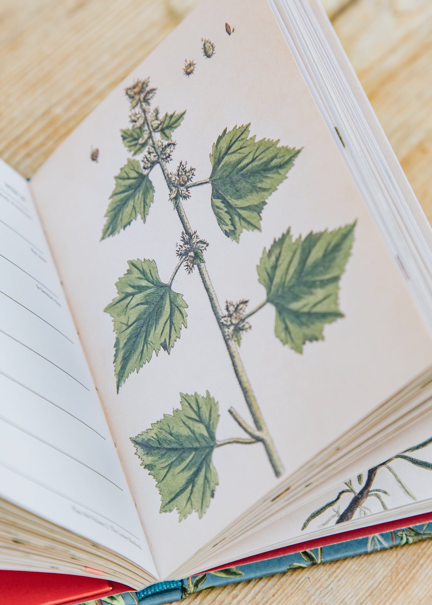 RHS RHS Pocket 2026 Diary