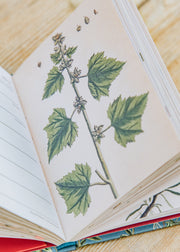 RHS RHS Pocket 2026 Diary
