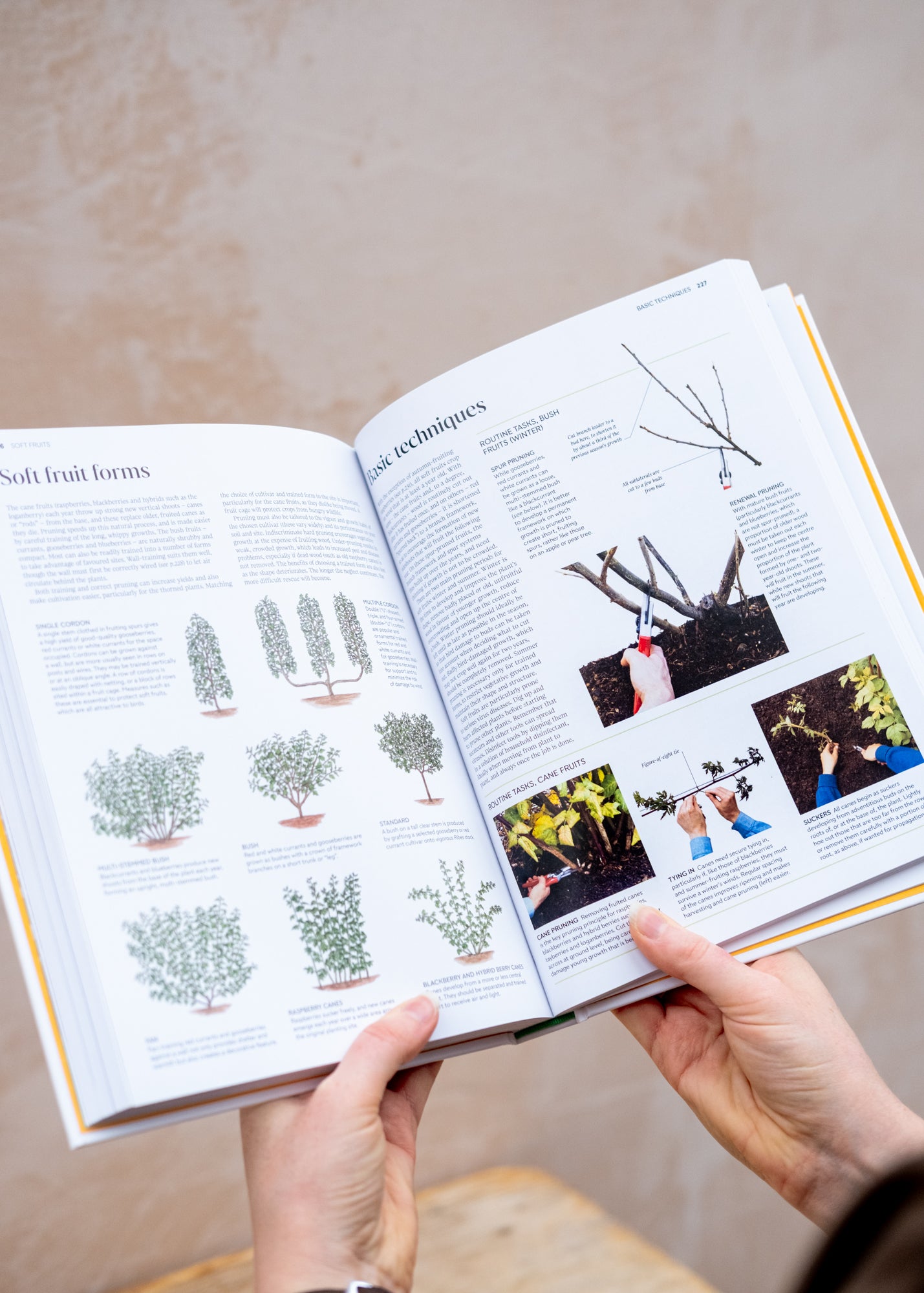 Books RHS Pruning & Training: What, When and How to Prune