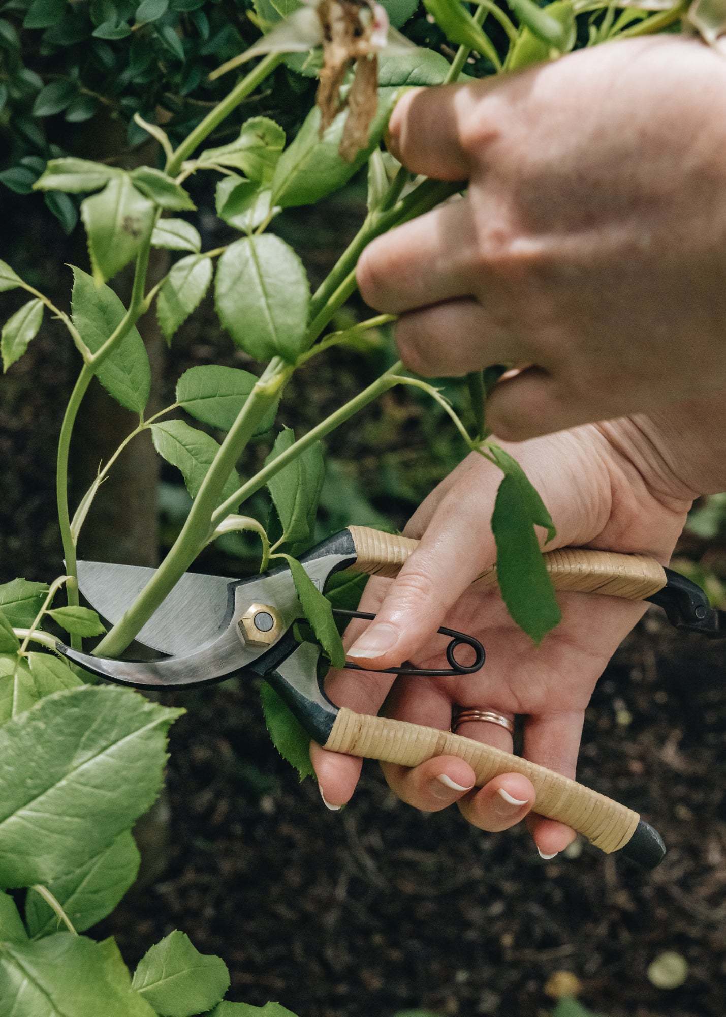 Niwaki Rattan S-Type Secateurs