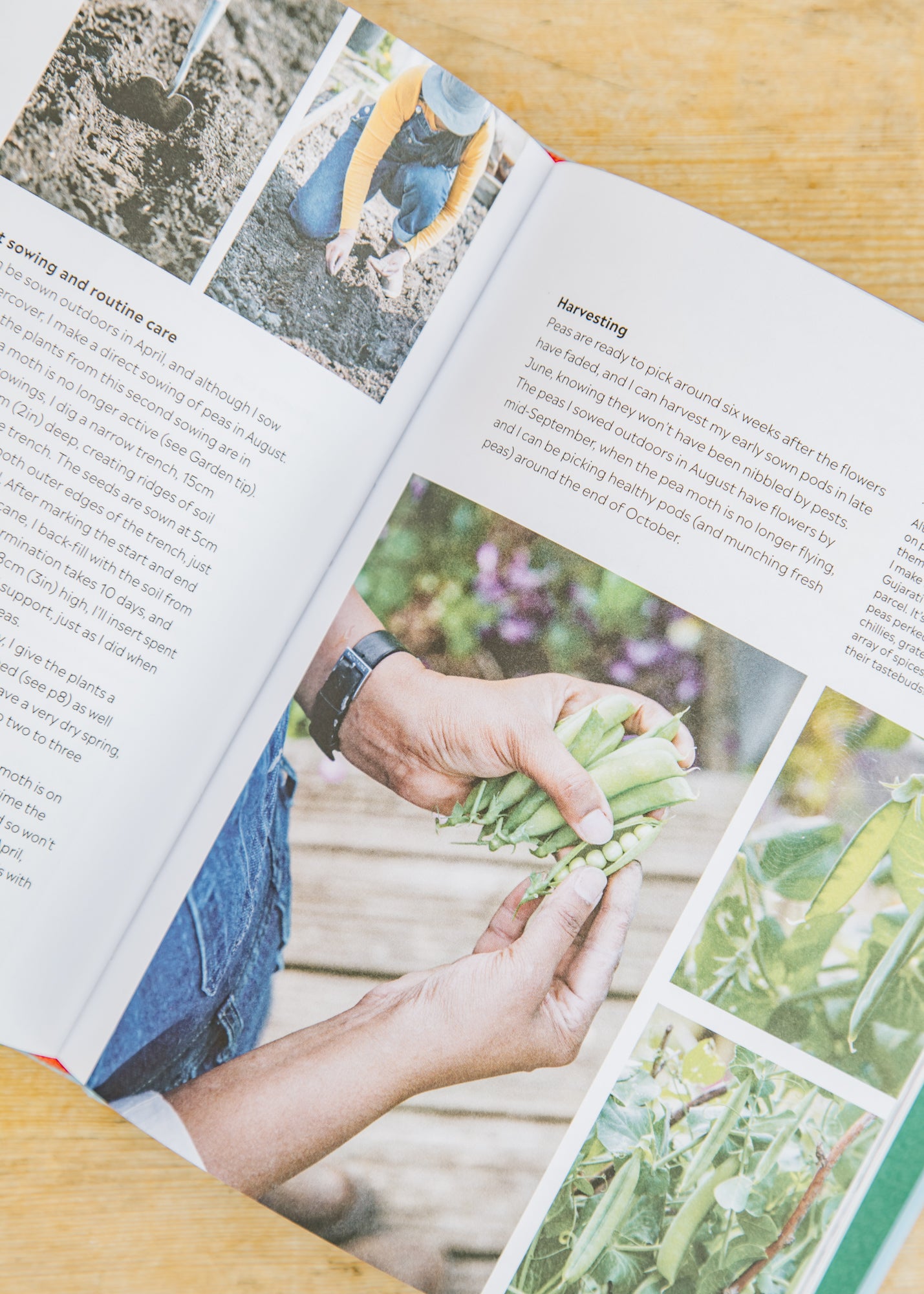 Books Rekha's Kitchen Garden