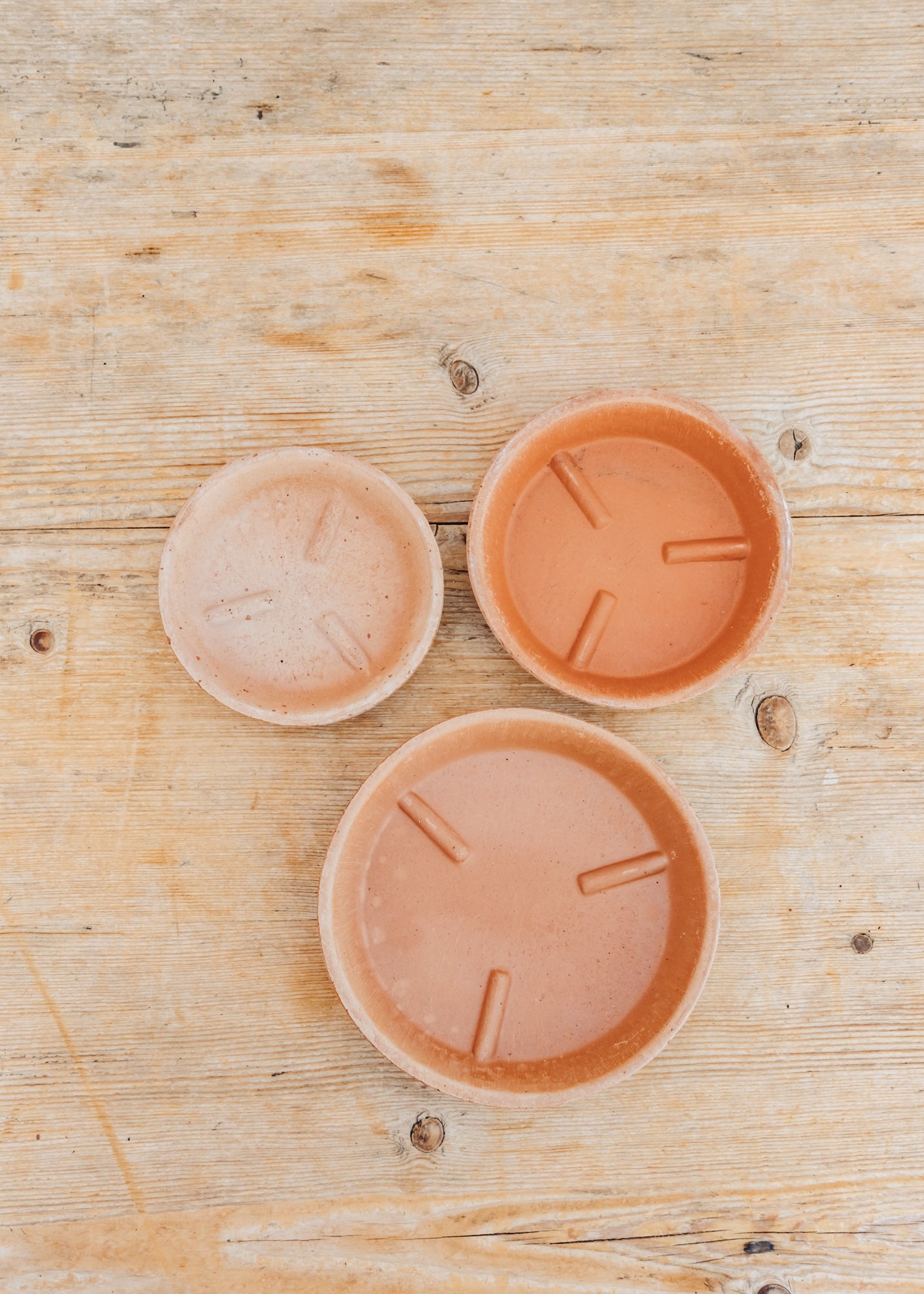 Bergs Potter Rosa Julie Saucers