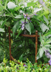 Claverton Cloches Pavillion Plant Support