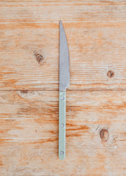 Vintage Bistrot Dinner Knife in Asparagus