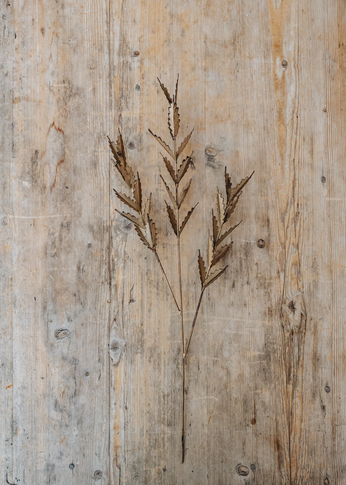 San Stem Leaves in Antique Brass Burford Garden Co.