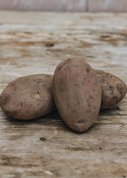 Taylors Bulbs Potato 'Sarpo Mira’