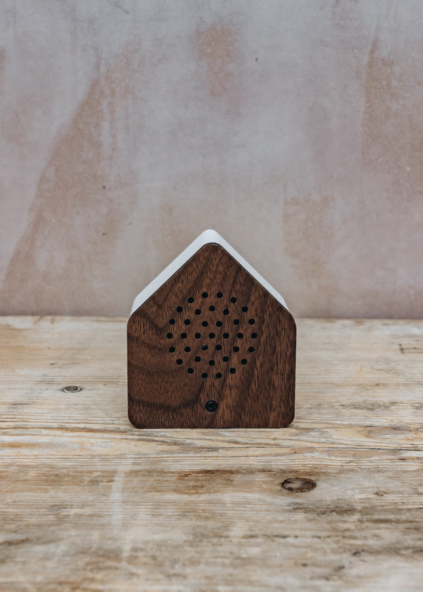 Satellite Nightingale Bird Song Box in Walnut