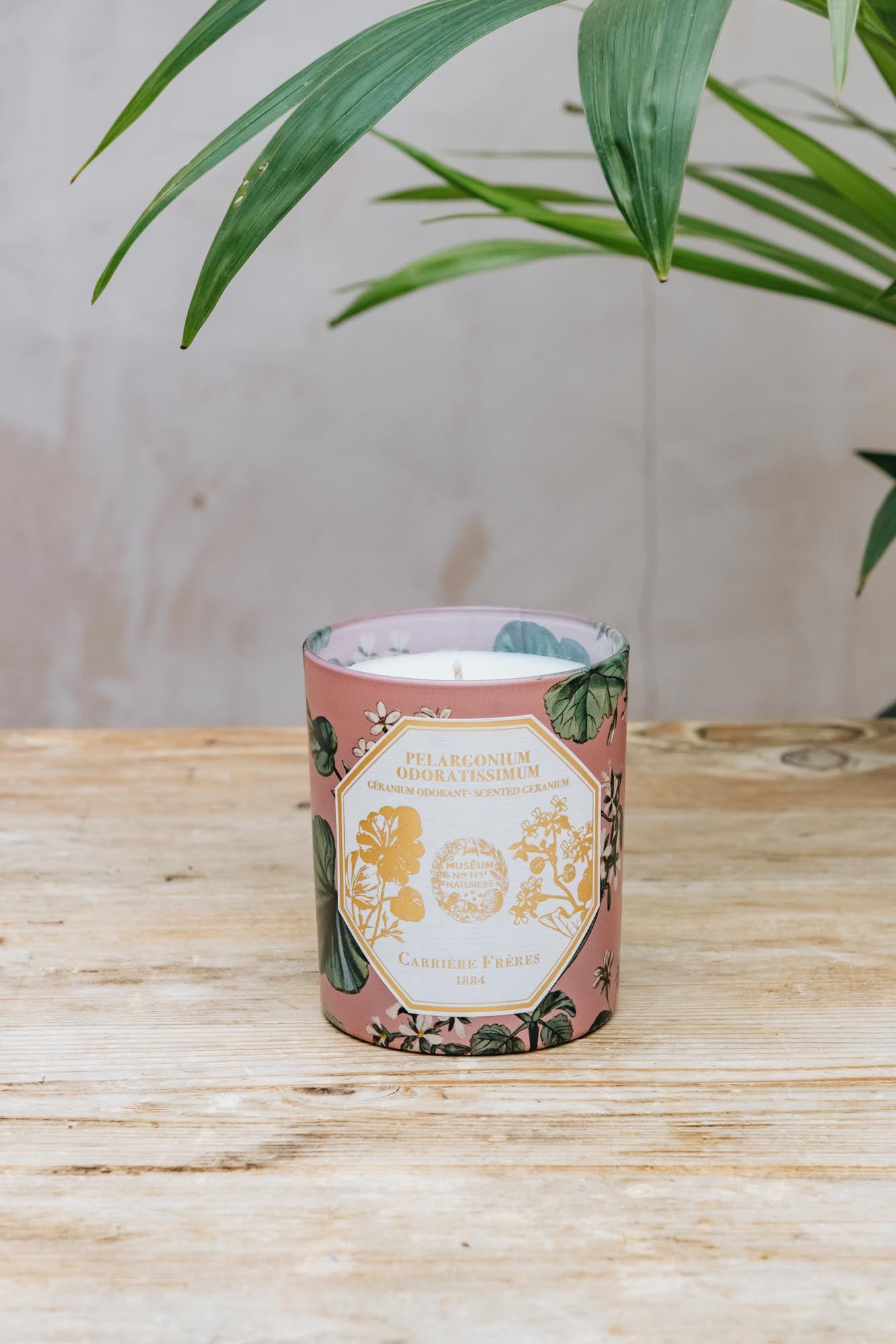 Scented Candle in Geranium