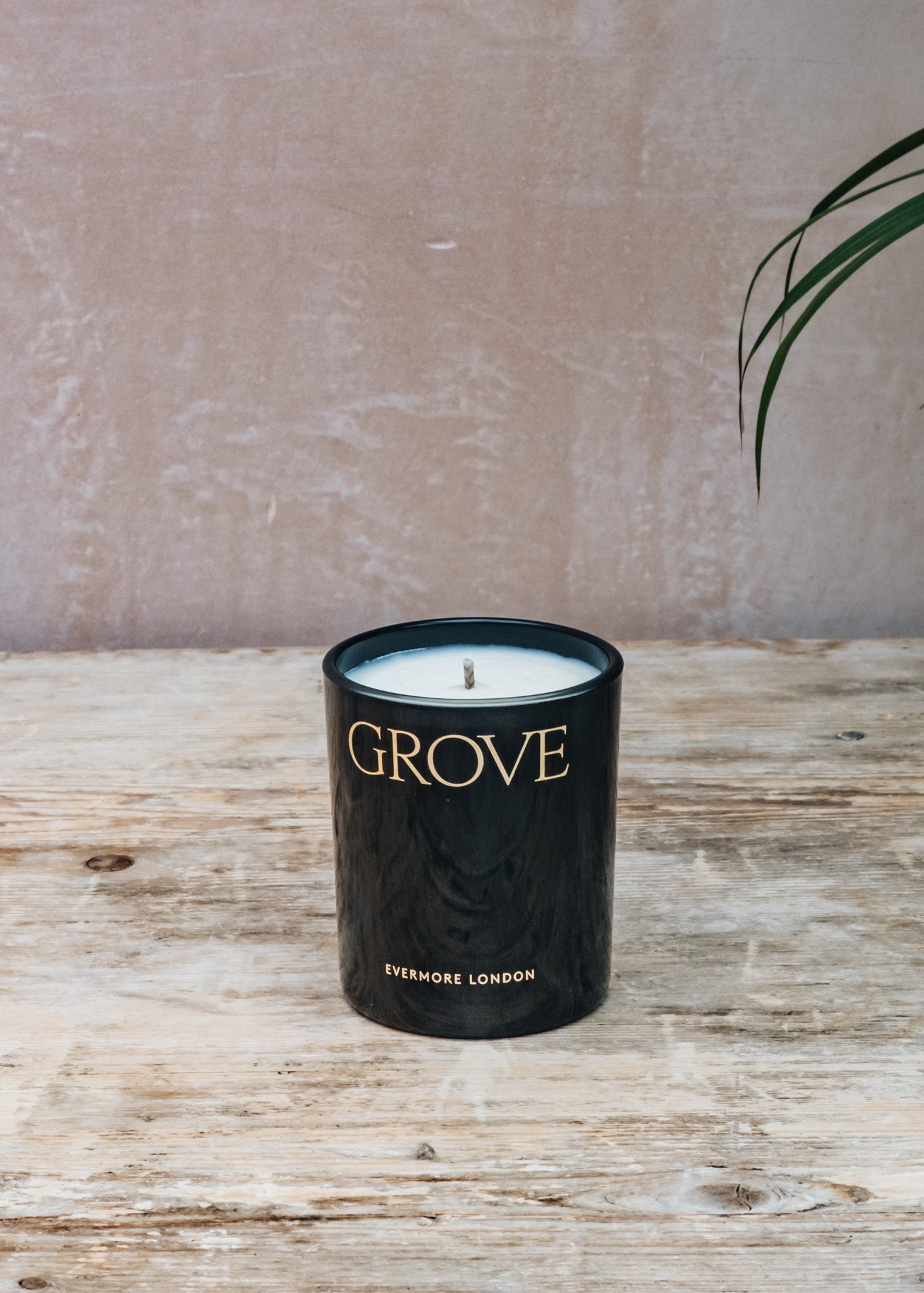 Evermore Scented Candle in Grove, Earth and Aged Pine, 145g