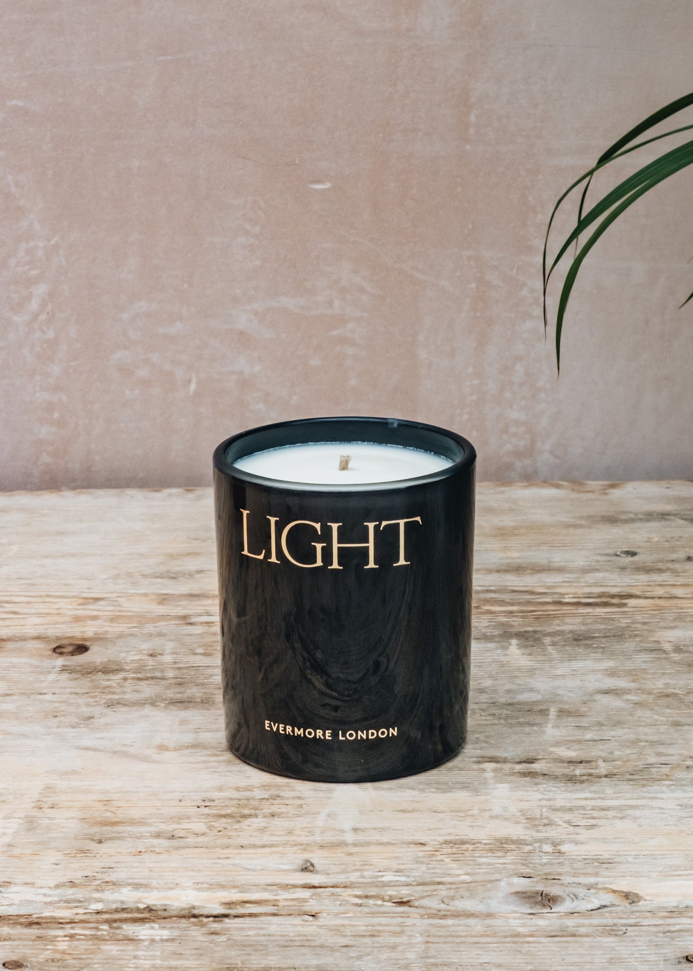 Evermore Scented Candle in Light, Sun and Wild Citrus, 300g