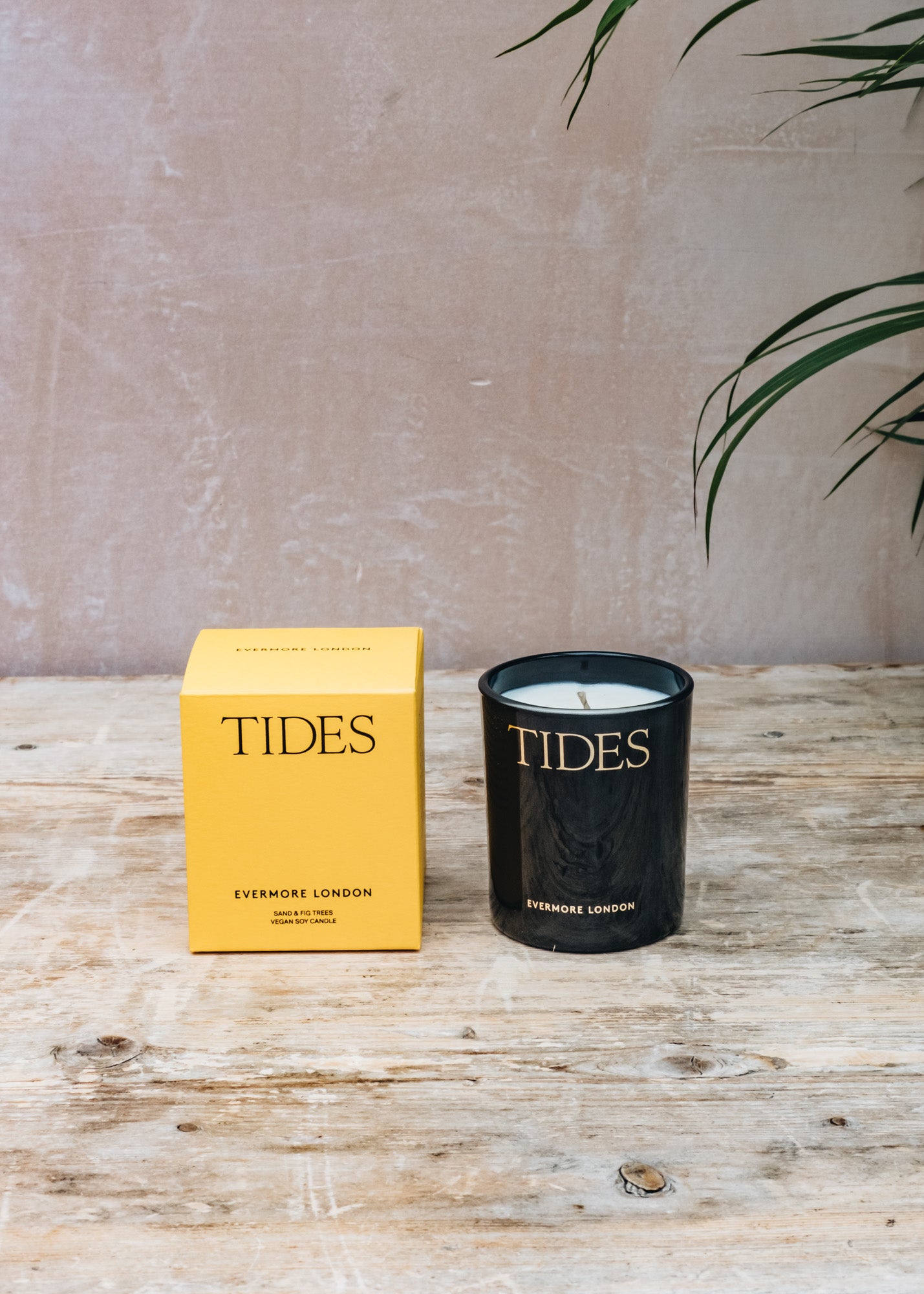 Scented Candle in Tides, Sand and Fig Trees, 145g