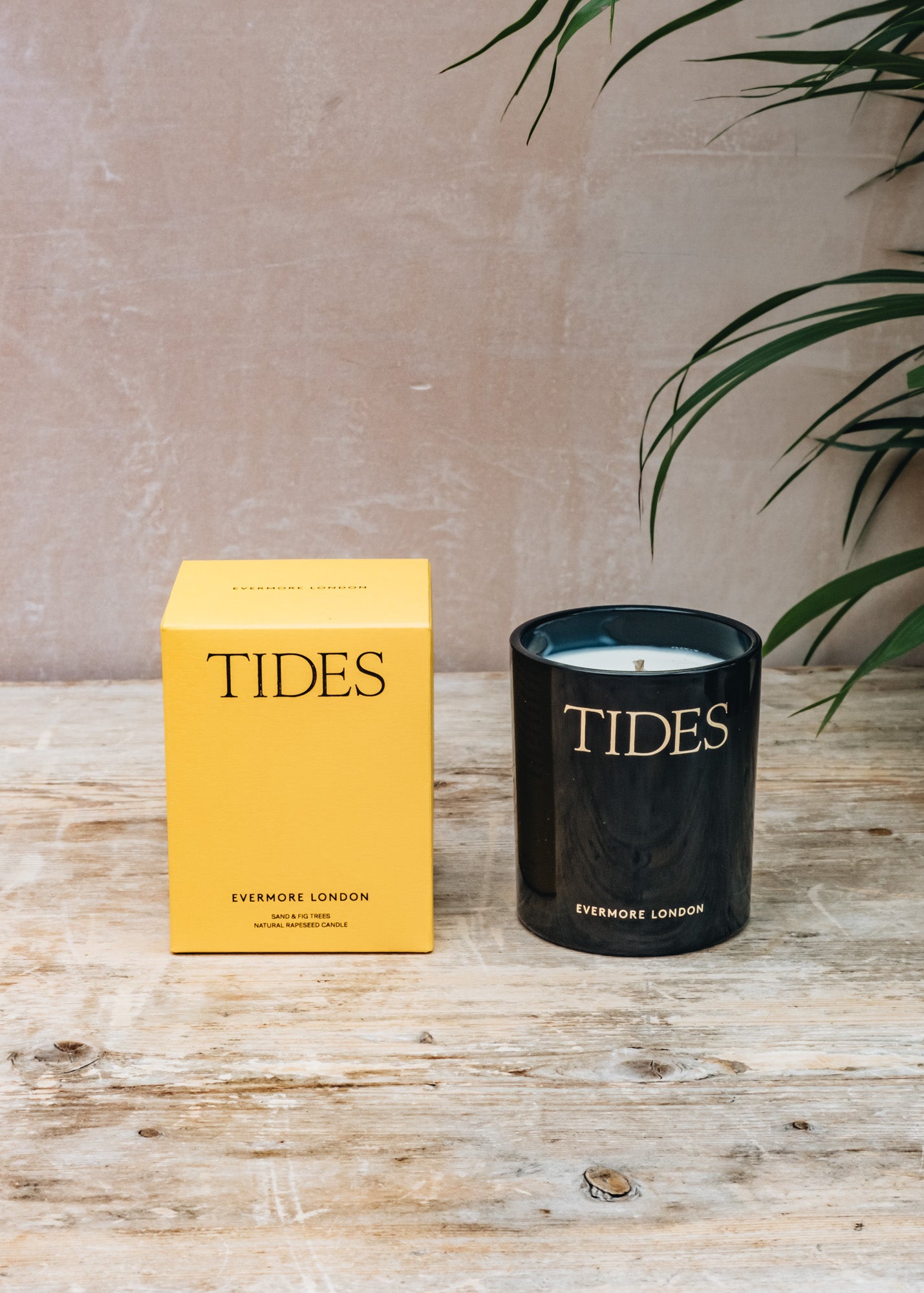 Evermore Scented Candle in Tides, Sand and Fig Trees, 300g