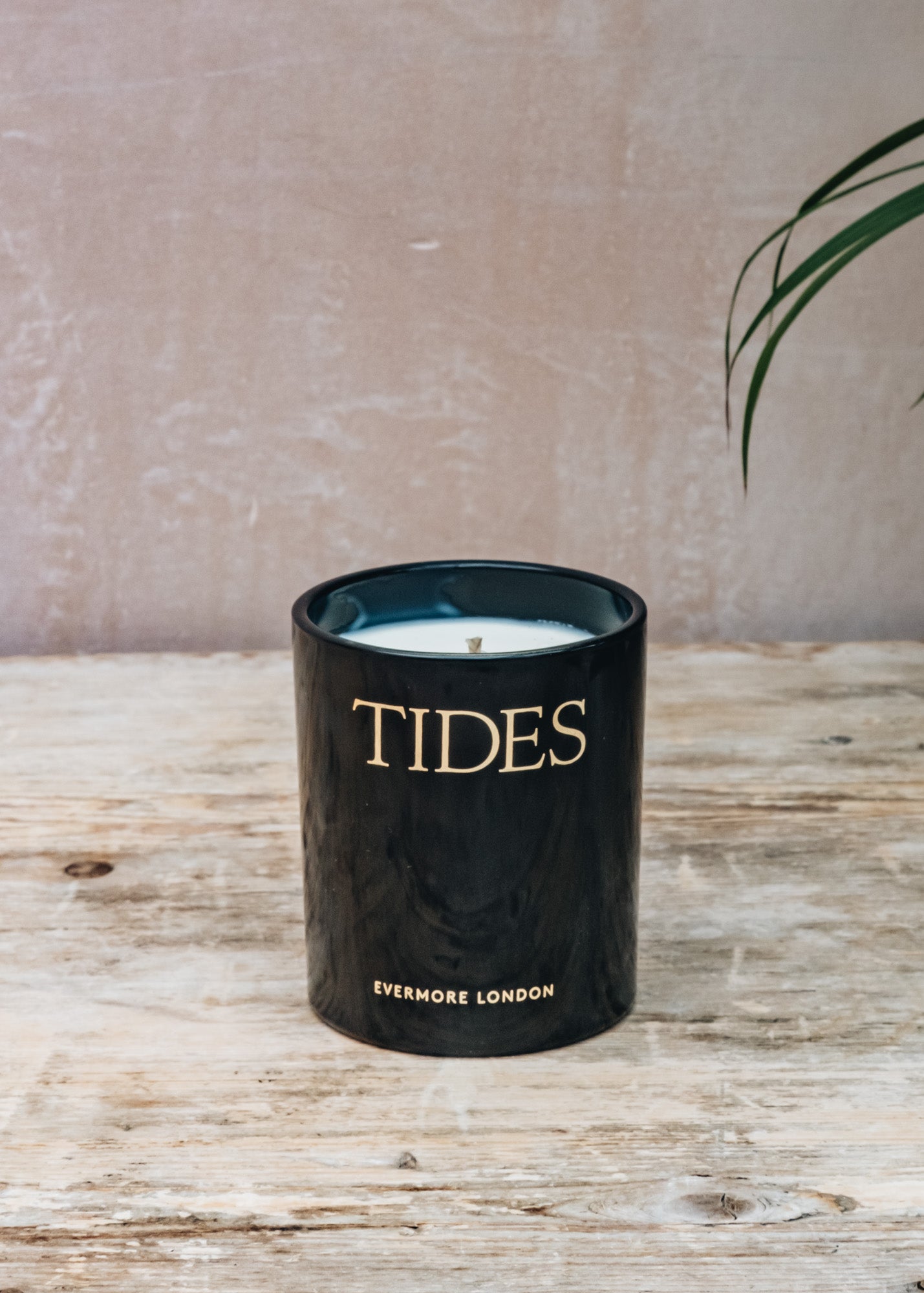 Evermore Scented Candle in Tides, Sand and Fig Trees, 300g