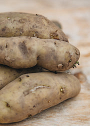 Taylors Bulbs Seed Potato 'Ratte', 2kg