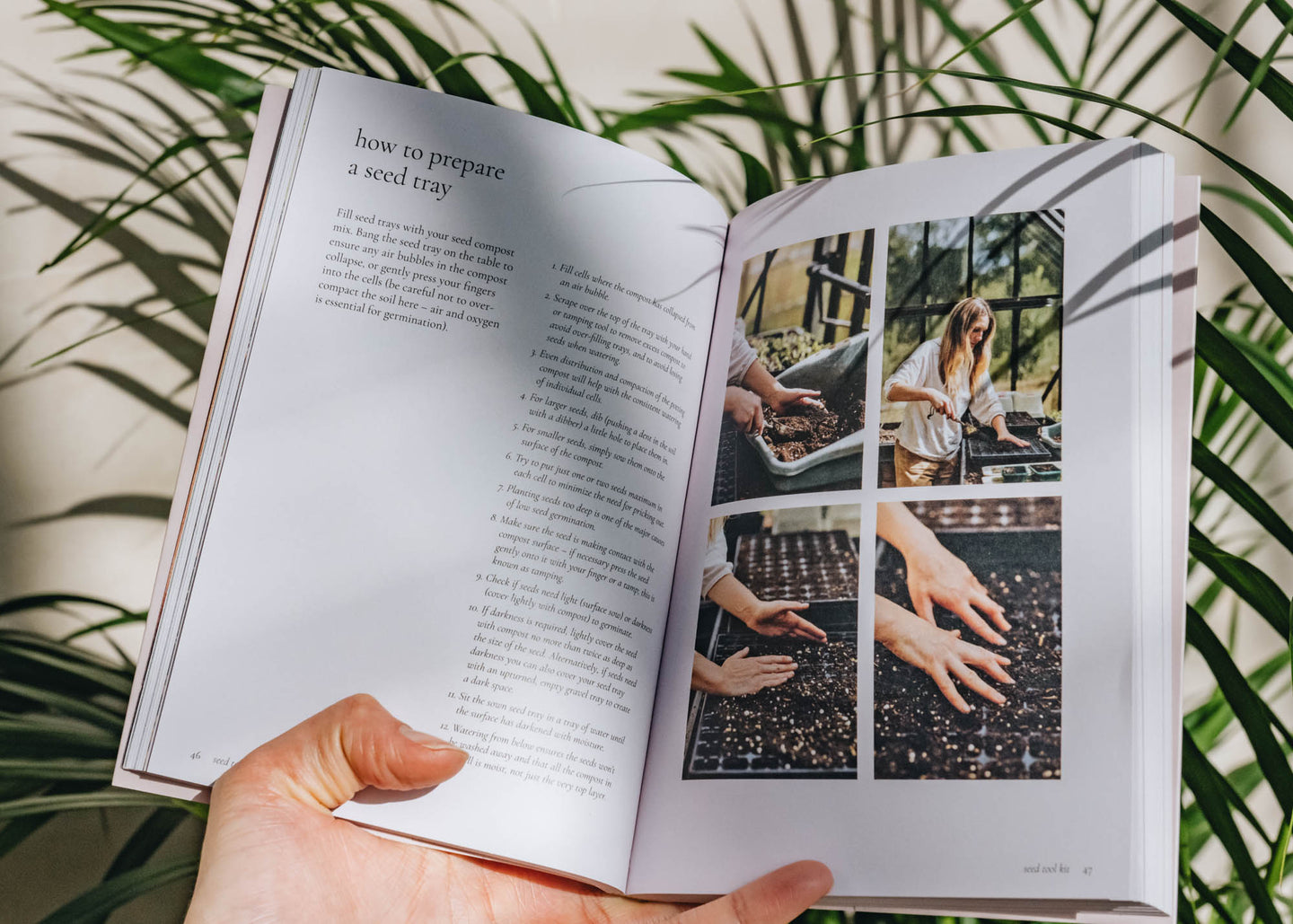 Garden and Plants Books Seeds: Grow Your Own Cut Flowers From Scratch
