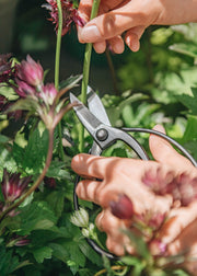 Niwaki Sentei Garden Scissors