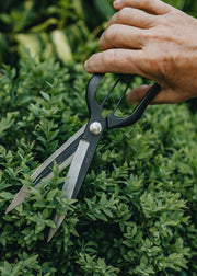 Niwaki Sentei Topiary Clippers