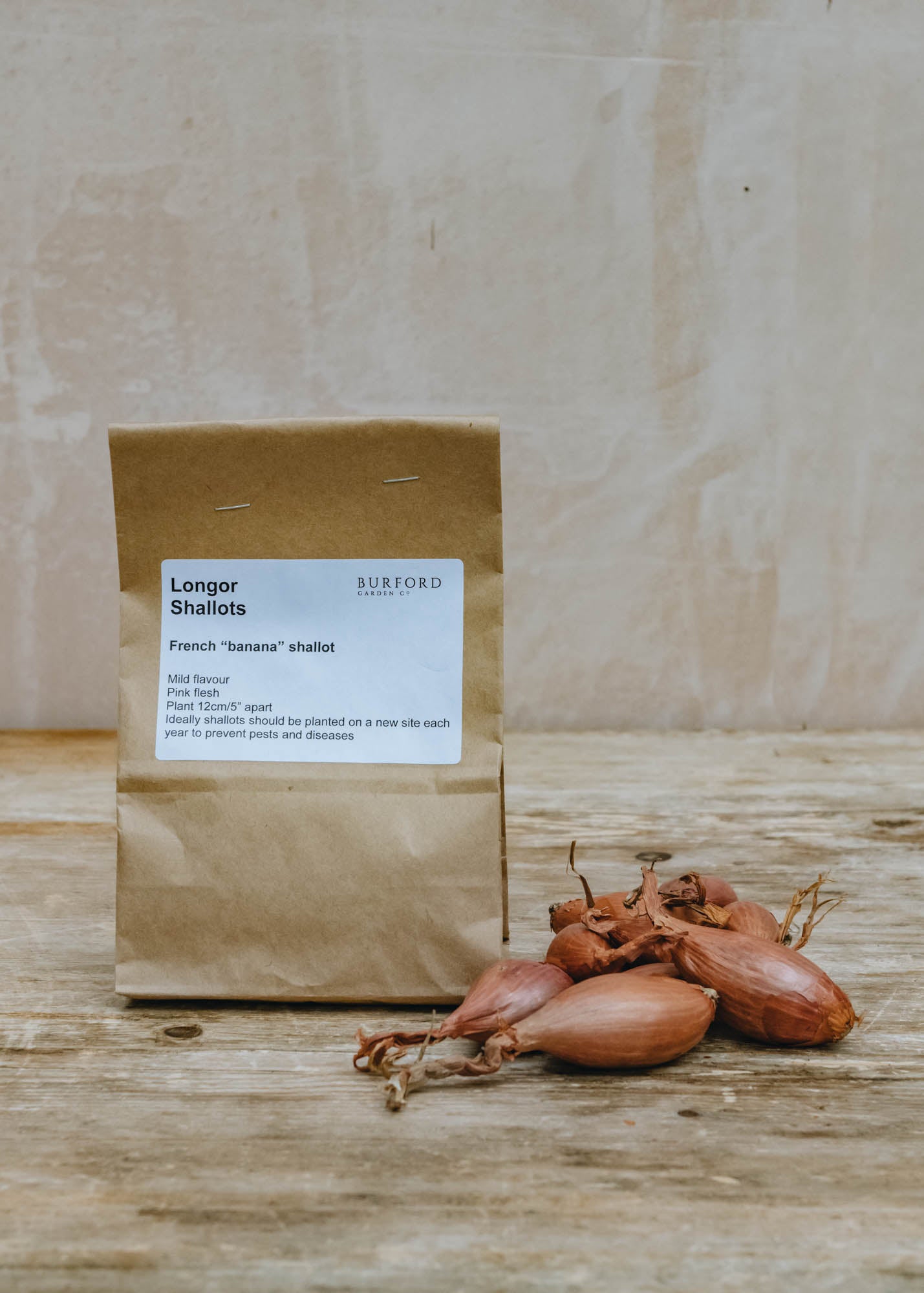 Shallot 'Longor', pack of 10 sets