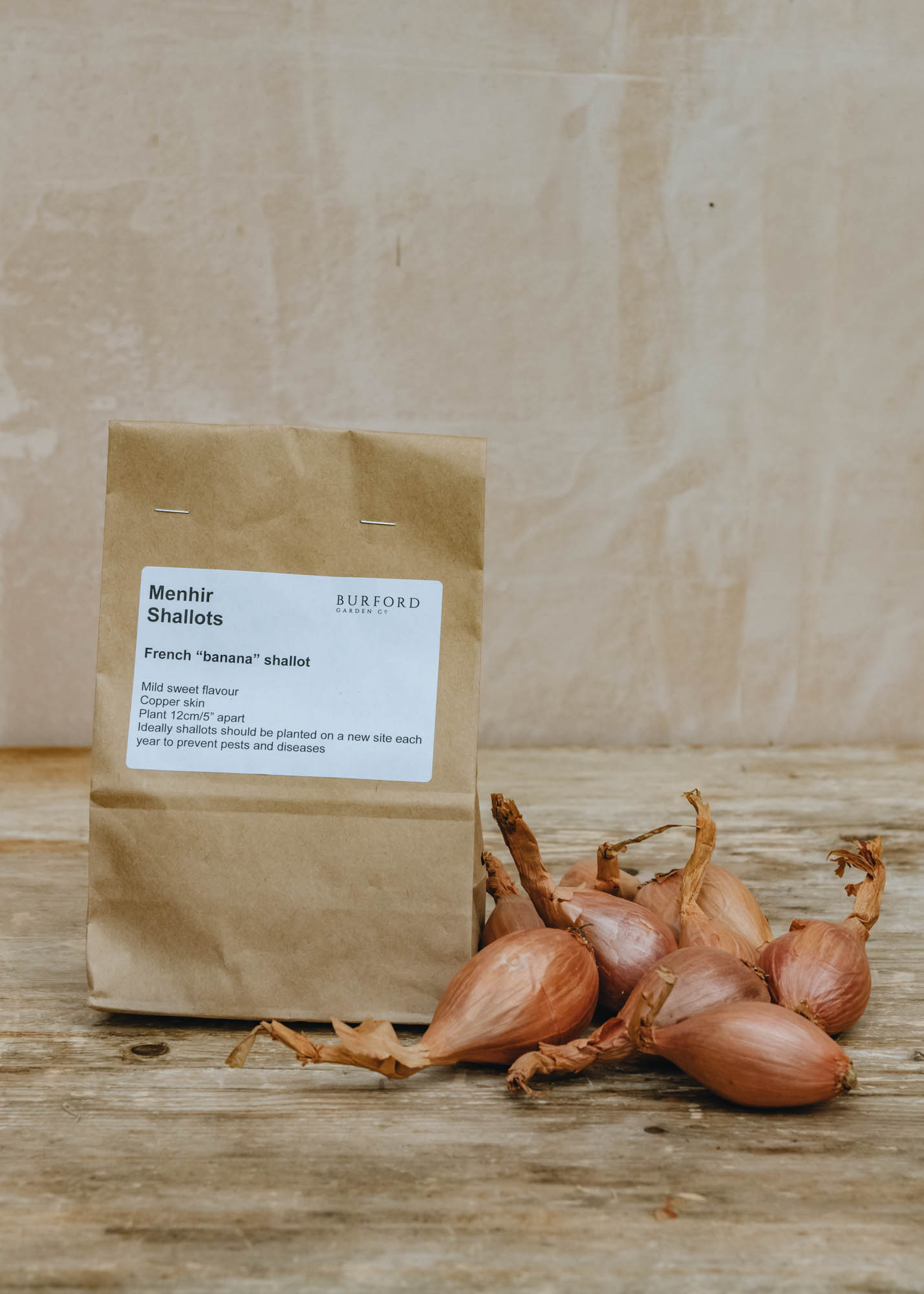 Shallot 'Menhir', pack of 10 sets