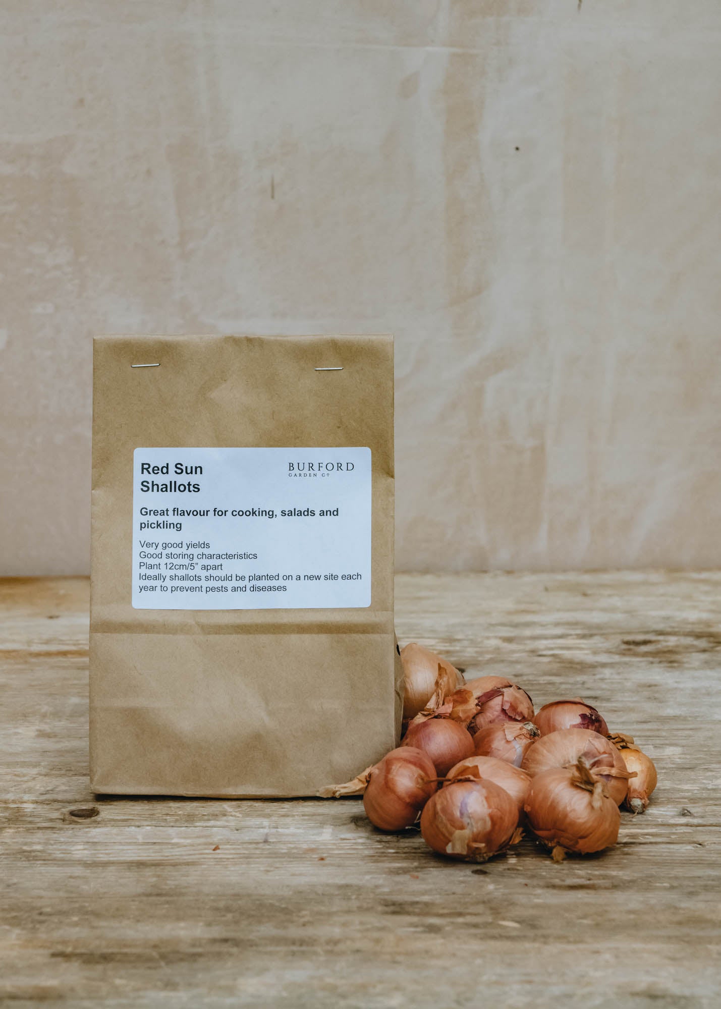 Shallot 'Red Sun', pack of 10 sets