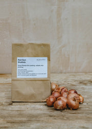 Shallot 'Red Sun', pack of 10 sets