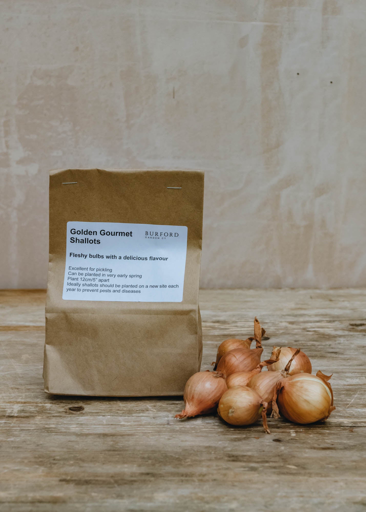 Shallot 'Golden Gourmet', pack of 10 sets