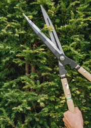 Niwaki Short Topiary Shears