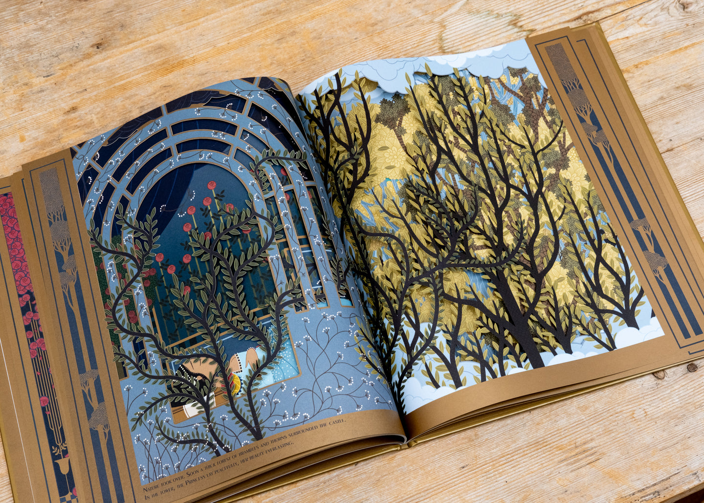 Books Sleeping Beauty